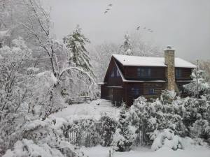 1545654_10100709278547711_464383882_n