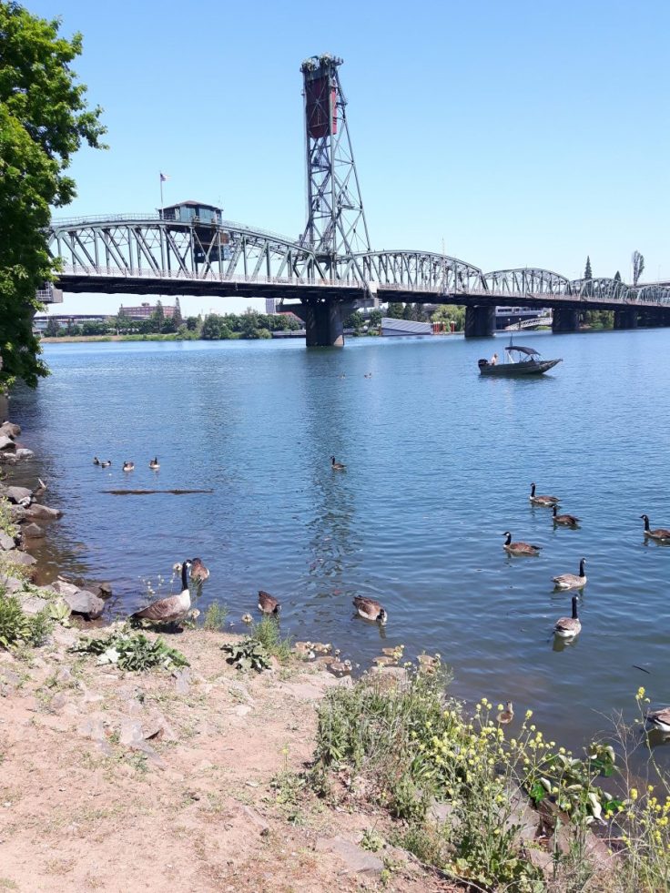 tom mccall waterfront park portland